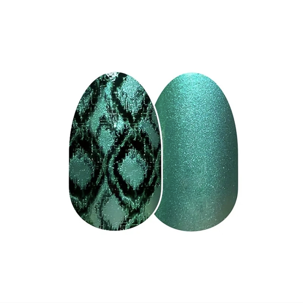 Color Street (Snake My Day)